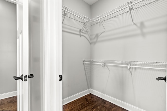 spacious closet with dark wood finished floors