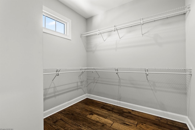 walk in closet with wood finished floors