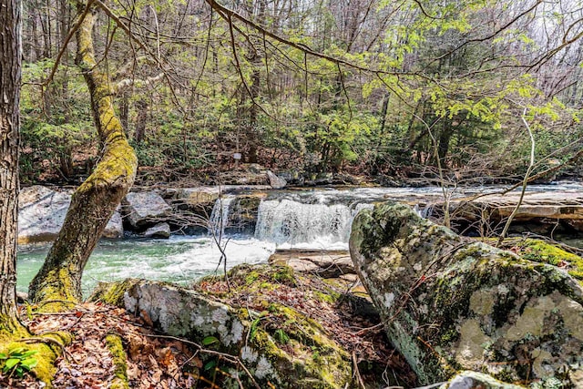 view of local wilderness with a wooded view