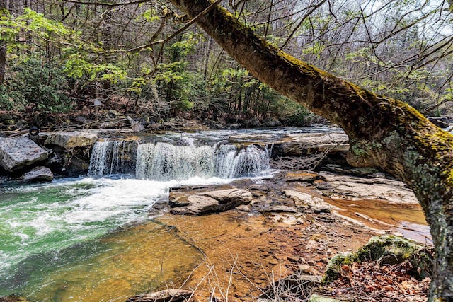 view of local wilderness featuring a wooded view