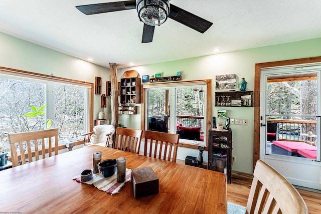 dining area with recessed lighting, wood finished floors, a textured ceiling, and a ceiling fan
