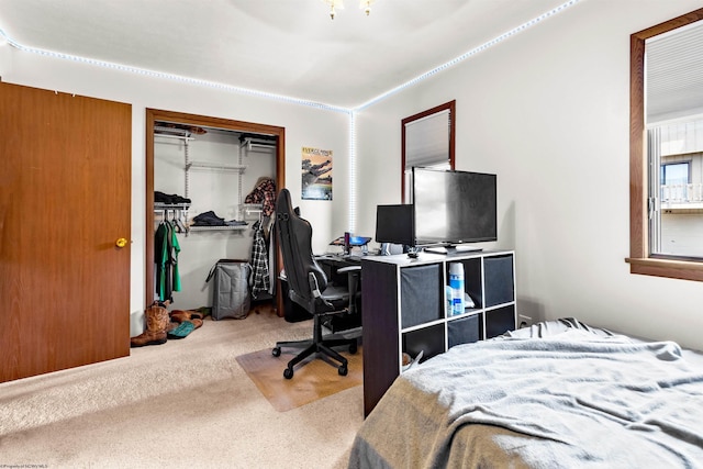 1224 Van Voorhis Rd, Morgantown, WV 26505 - bedroom with carpet floors and a closet