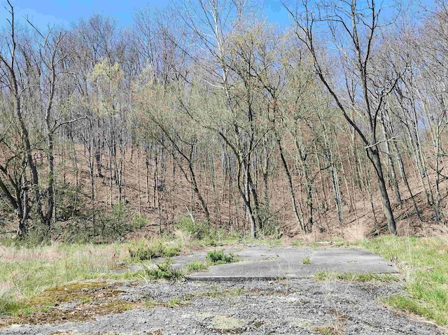 3796 Beverly Pike, Elkins, WV 26241
