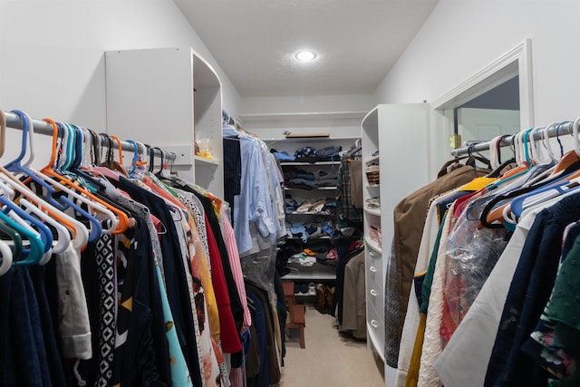 walk in closet with carpet flooring