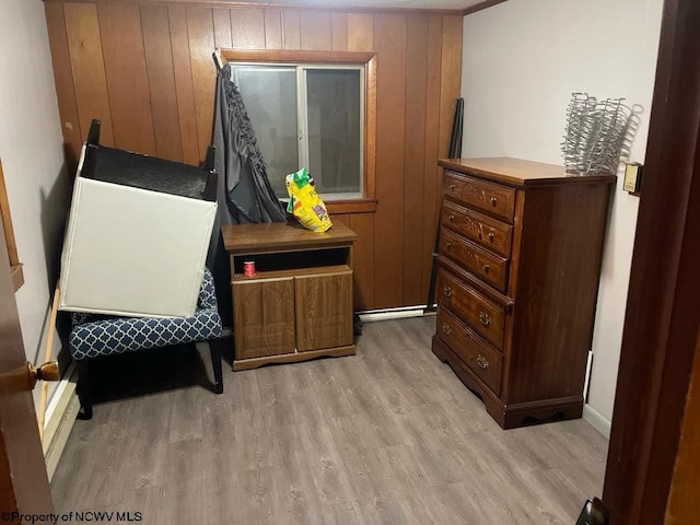 740 Point Mountain Rd, Webster Springs, WV 26288 - living area featuring wooden walls, light wood finished floors, and baseboards
