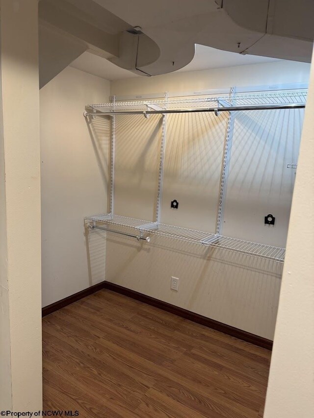 spacious closet featuring wood finished floors