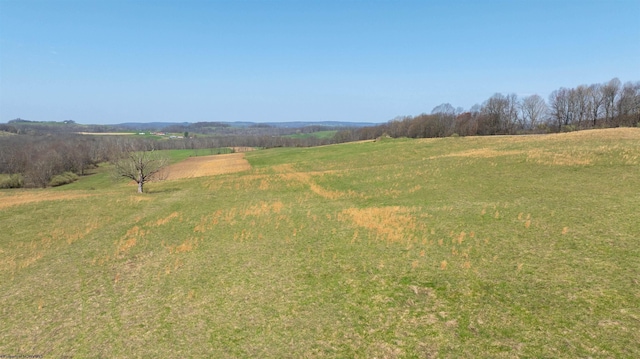 view of yard with a rural view