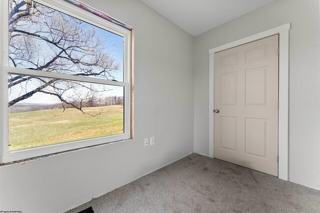 carpeted empty room with plenty of natural light