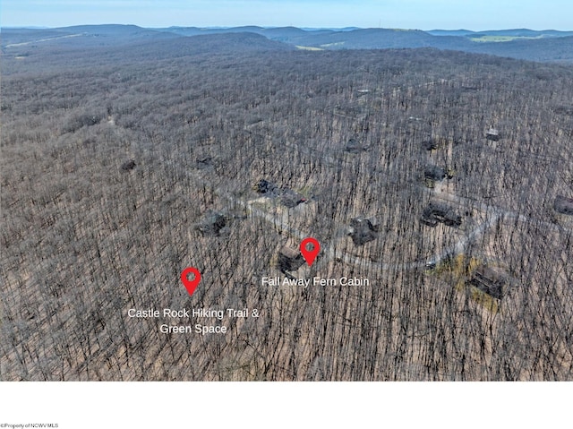 birds eye view of property featuring a forest view and a mountain view