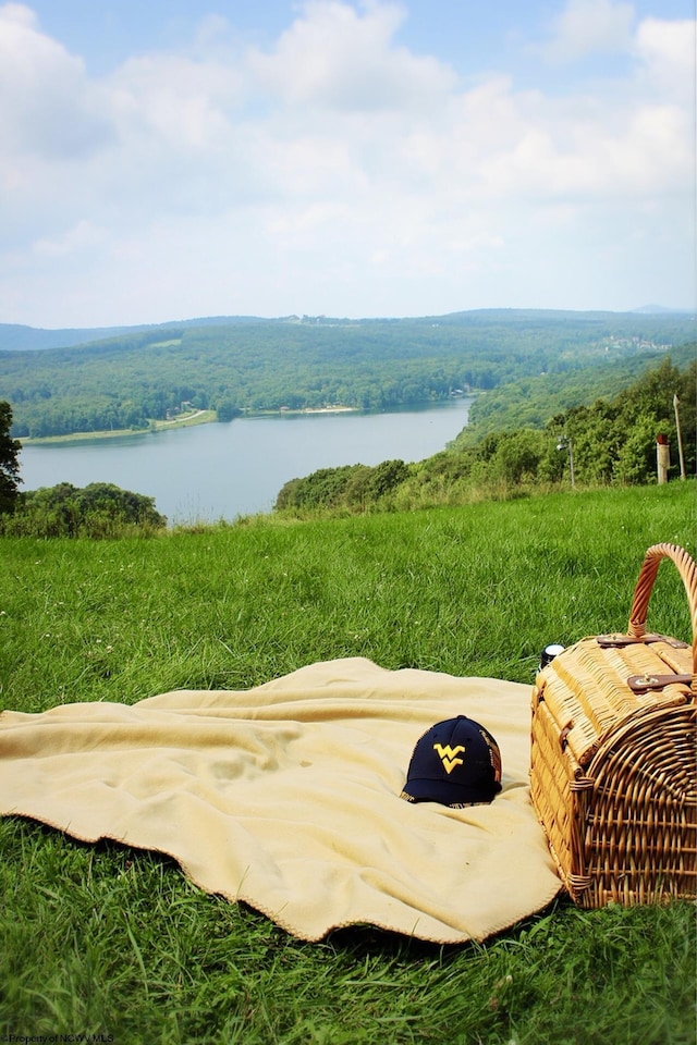 property view of water