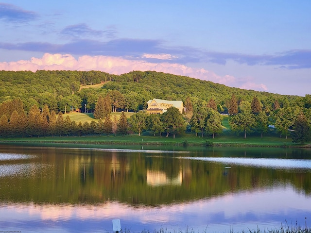 water view with a forest view