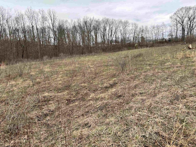 2965 Midway Rd, Belington, WV 26250