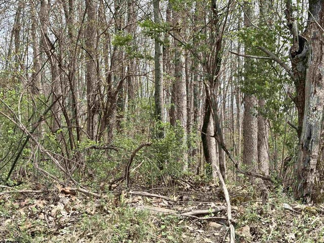 2965 Midway Rd, Belington, WV 26250