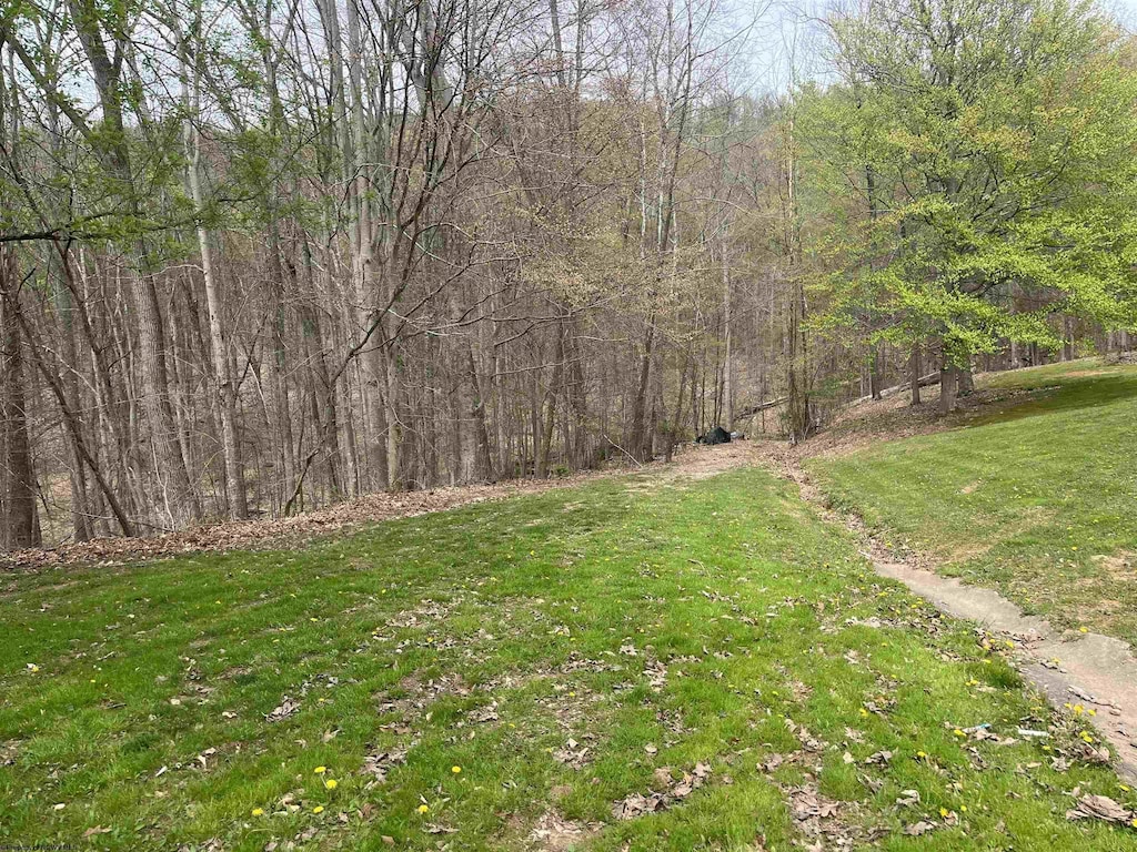 TBD Gaston Manor Rd, Jane Lew, WV 26378