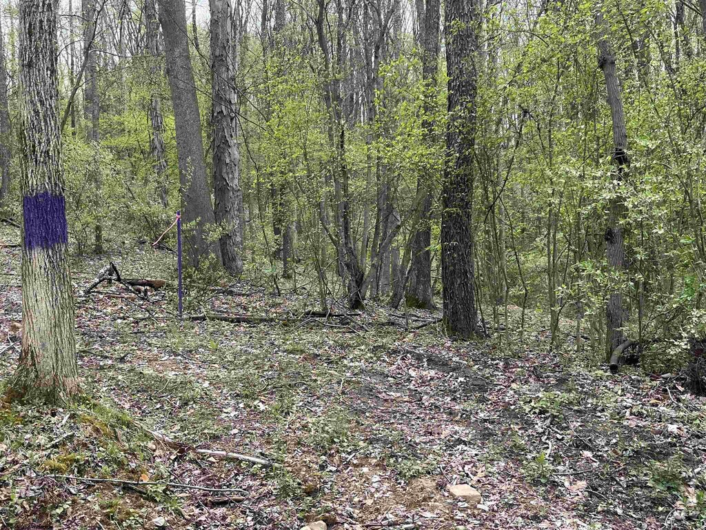TBD Gaston Manor Rd, Jane Lew, WV 26378