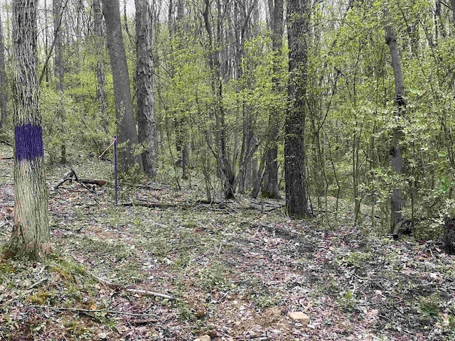 TBD Gaston Manor Rd, Jane Lew, WV 26378