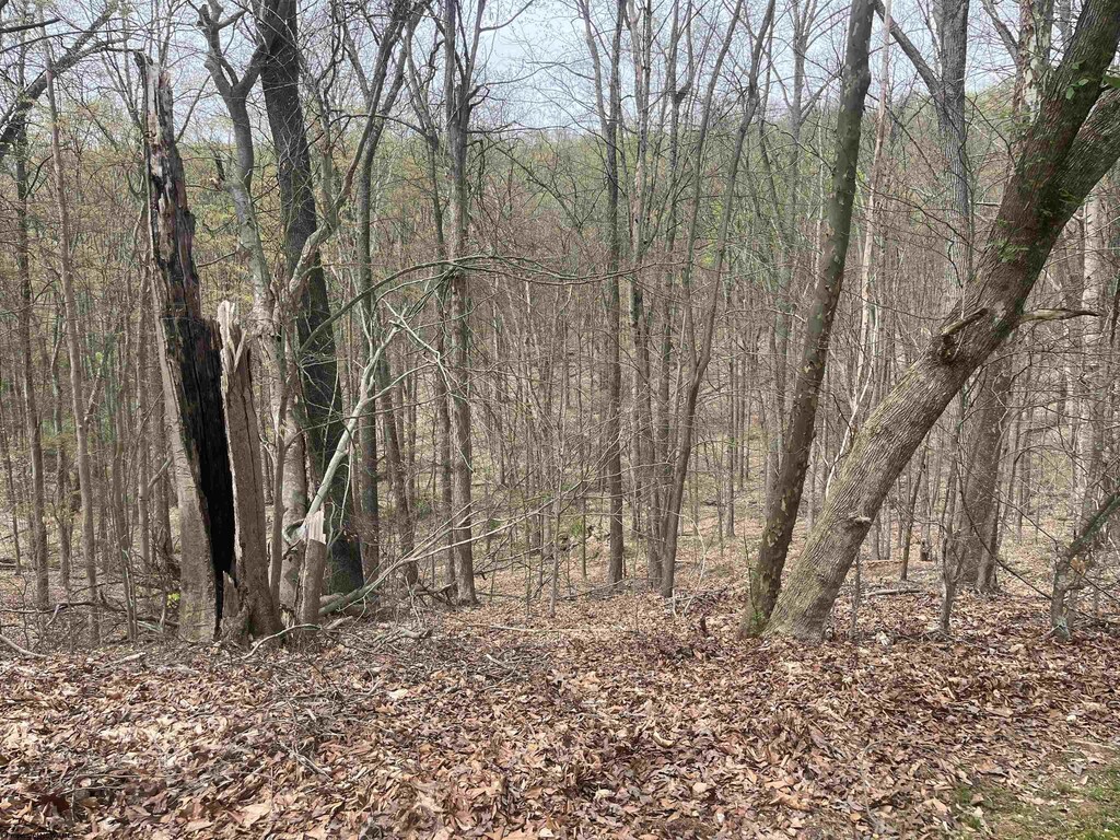 TBD Gaston Manor Rd, Jane Lew, WV 26378