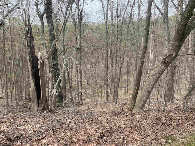 TBD Gaston Manor Rd, Jane Lew, WV 26378