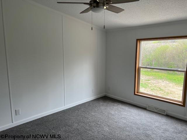 carpeted empty room featuring ceiling fan, a wealth of natural light, a textured ceiling, and visible vents
