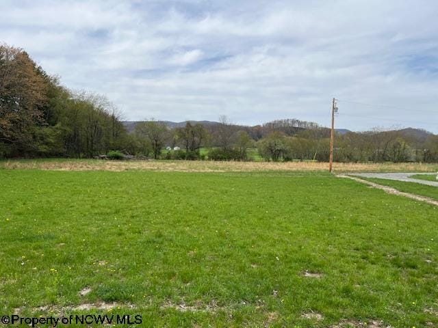 view of yard with a rural view