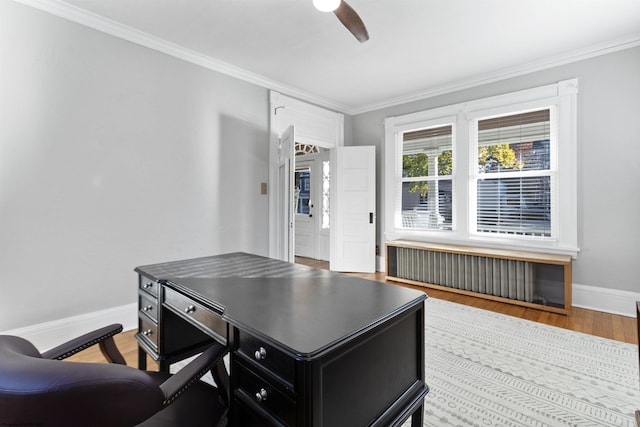 office area with radiator, baseboards, wood finished floors, ceiling fan, and ornamental molding
