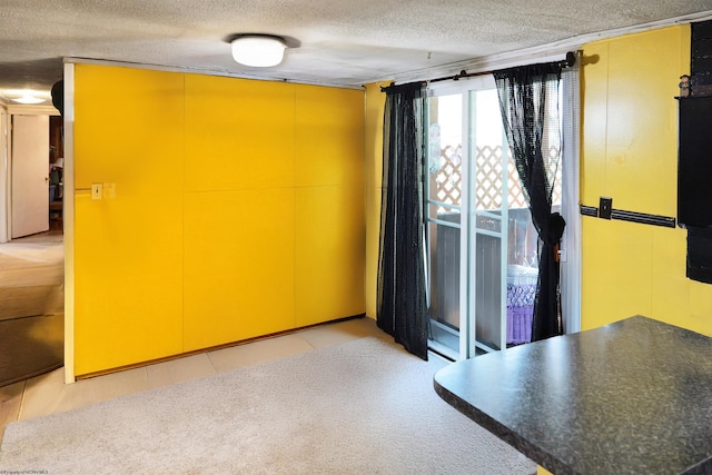 3935 Cranesville Rd, Terra Alta, WV 26764 - interior space featuring a textured ceiling