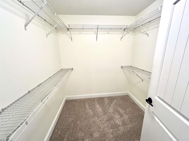 1029 Olivia Way, Morgantown, WV 26508 - walk in closet with carpet