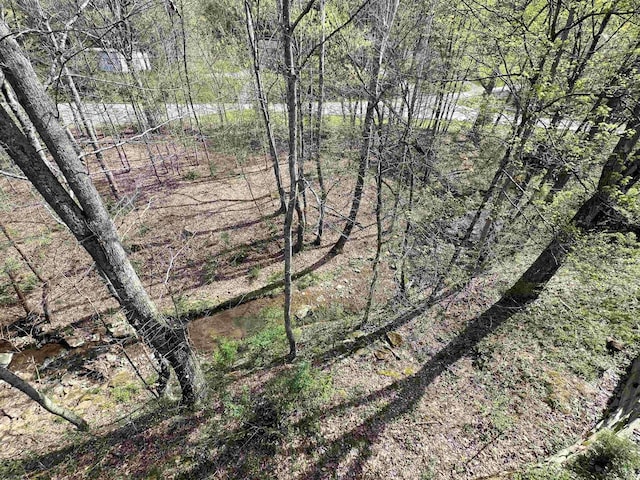 1029 Olivia Way, Morgantown, WV 26508 - view of nature