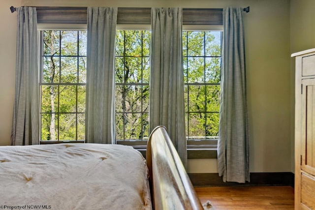 1042 Fort Martin Rd, Maidsville, WV 26541 - bedroom featuring wood finished floors and multiple windows