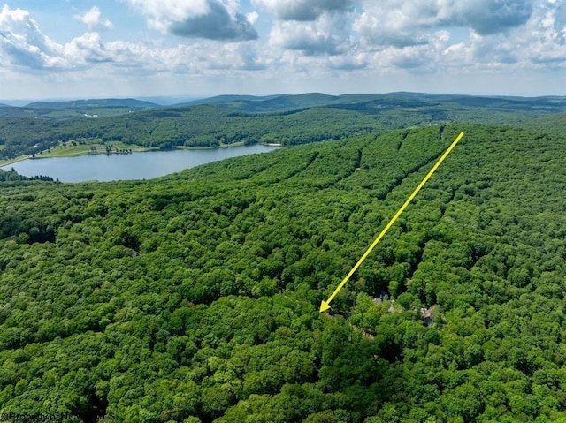 birds eye view of property featuring a water and mountain view and a wooded view