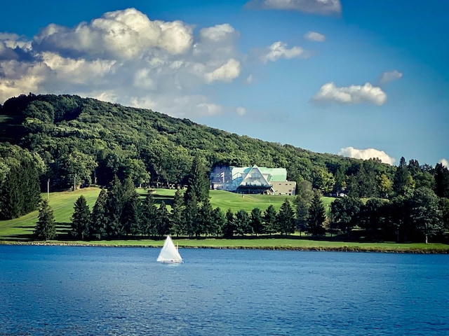 view of water feature featuring a forest view