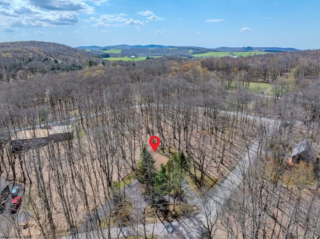 bird's eye view with a wooded view and a mountain view