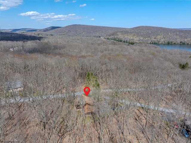 view of mountain feature