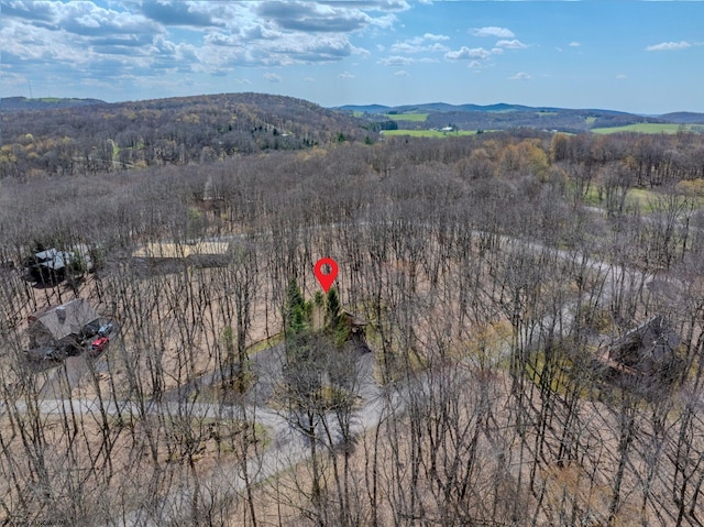 aerial view featuring a mountain view and a forest view
