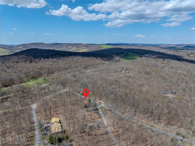 drone / aerial view featuring a mountain view