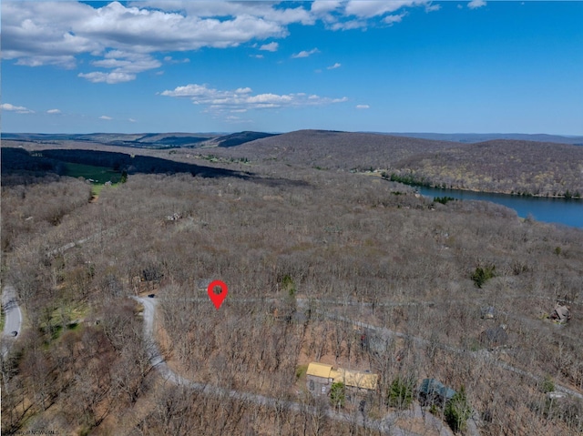 drone / aerial view with a water and mountain view and a view of trees