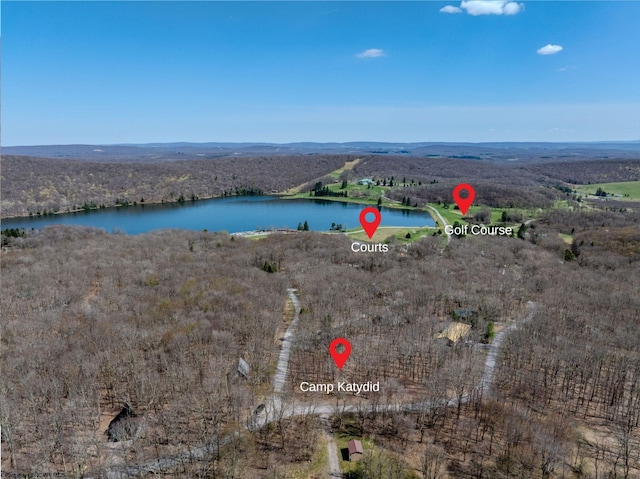 bird's eye view with a water view and a wooded view