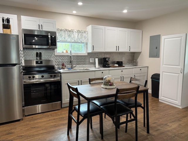 kitchen with stainless steel appliances, electric panel, dark wood-type flooring, and a sink