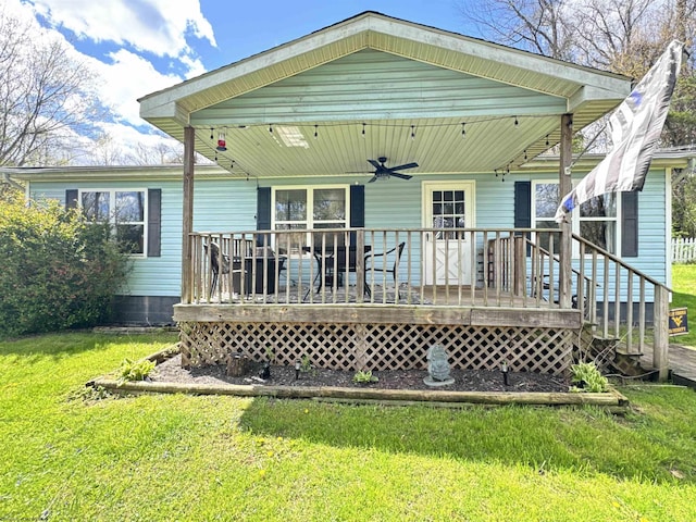 back of property featuring a deck, ceiling fan, and a lawn