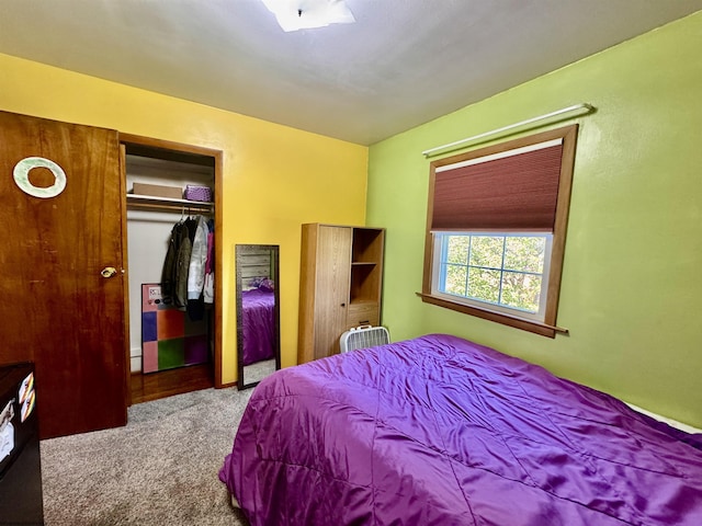 1223 Katherine St, Fairmont, WV 26554 - bedroom featuring carpet and a closet