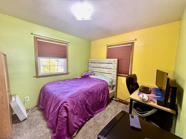 1223 Katherine St, Fairmont, WV 26554 - view of carpeted bedroom