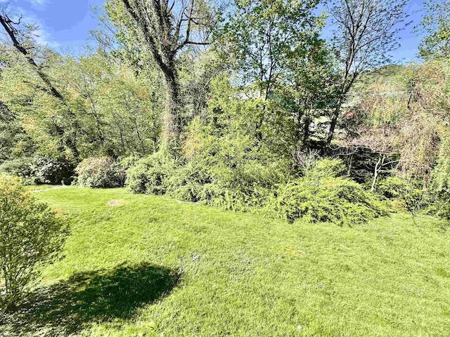 1223 Katherine St, Fairmont, WV 26554 - view of yard