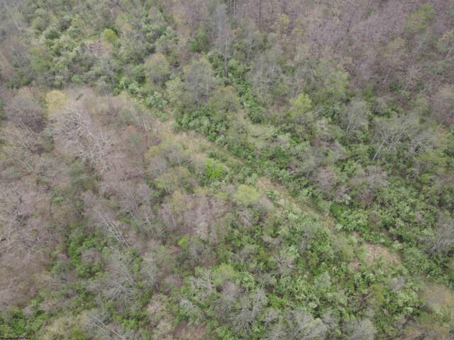 TBD Cemetary Rd, Orlando, WV 26412