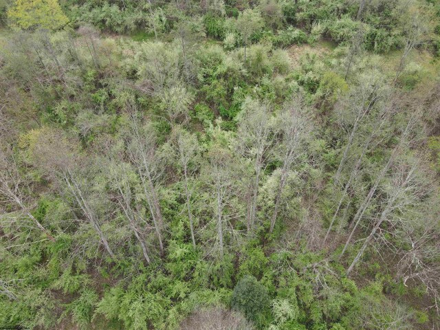 TBD Cemetary Rd, Orlando, WV 26412