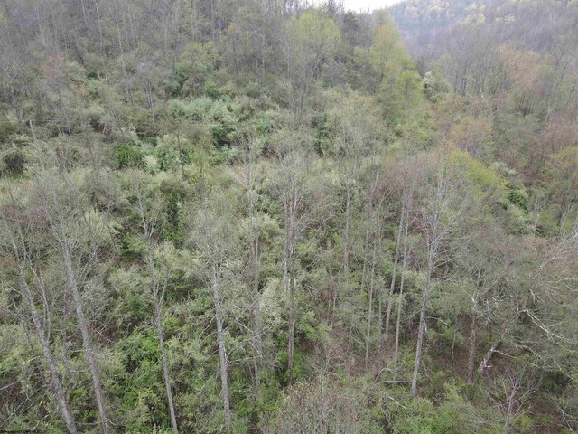 TBD Cemetary Rd, Orlando, WV 26412