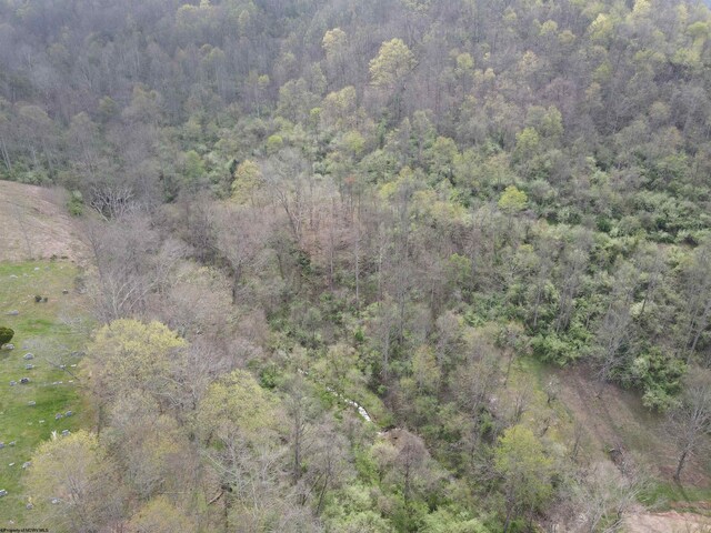 TBD Cemetary Rd, Orlando, WV 26412