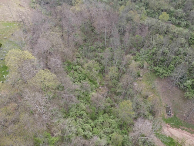 TBD Cemetary Rd, Orlando, WV 26412
