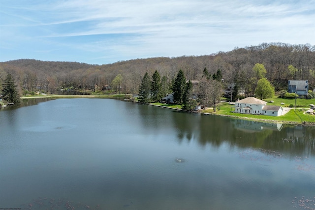 property view of water with a wooded view