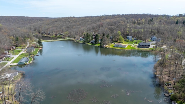 birds eye view of property featuring a water view and a view of trees
