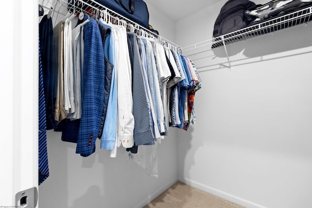 spacious closet with carpet